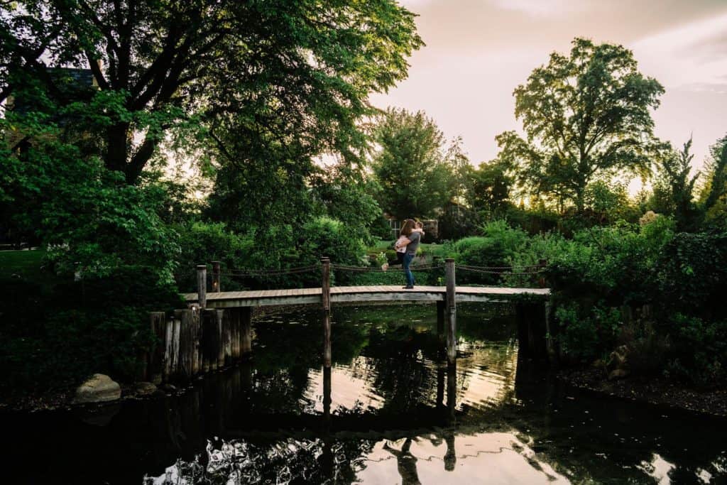 the view at hamstra gardens