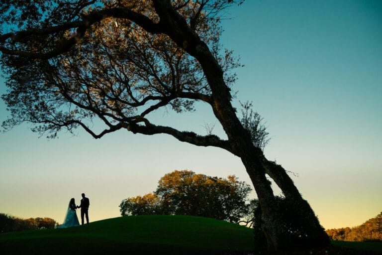 Silhouette of a bride and groom standing on a green hillside under a large tree during sunset, capturing a romantic outdoor wedding moment.
