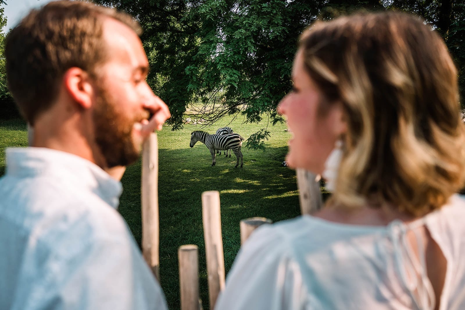 Couple on a date at animal kingdom with a zebra.