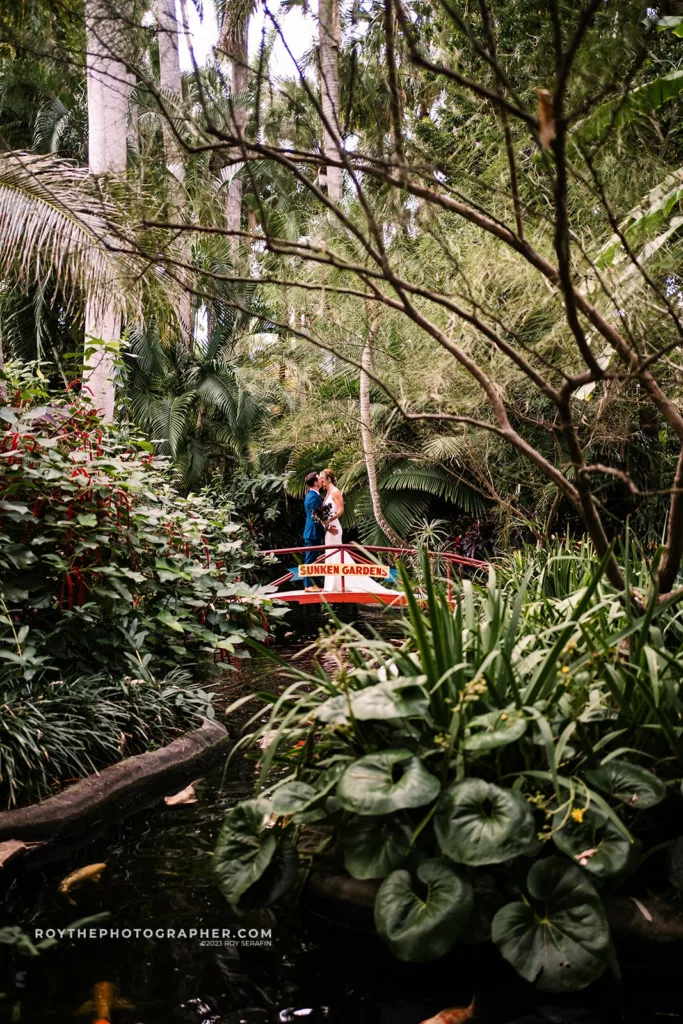 A serene Sunken Gardens wedding moment with the couple on a picturesque bridge over a tranquil pond filled with lily pads and koi fish, surrounded by dense greenery.