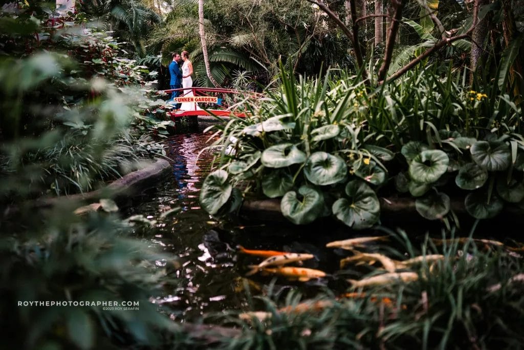 A couple shares a romantic moment on a bridge at Sunken Gardens, surrounded by verdant plants and still waters, ideal for wedding photography