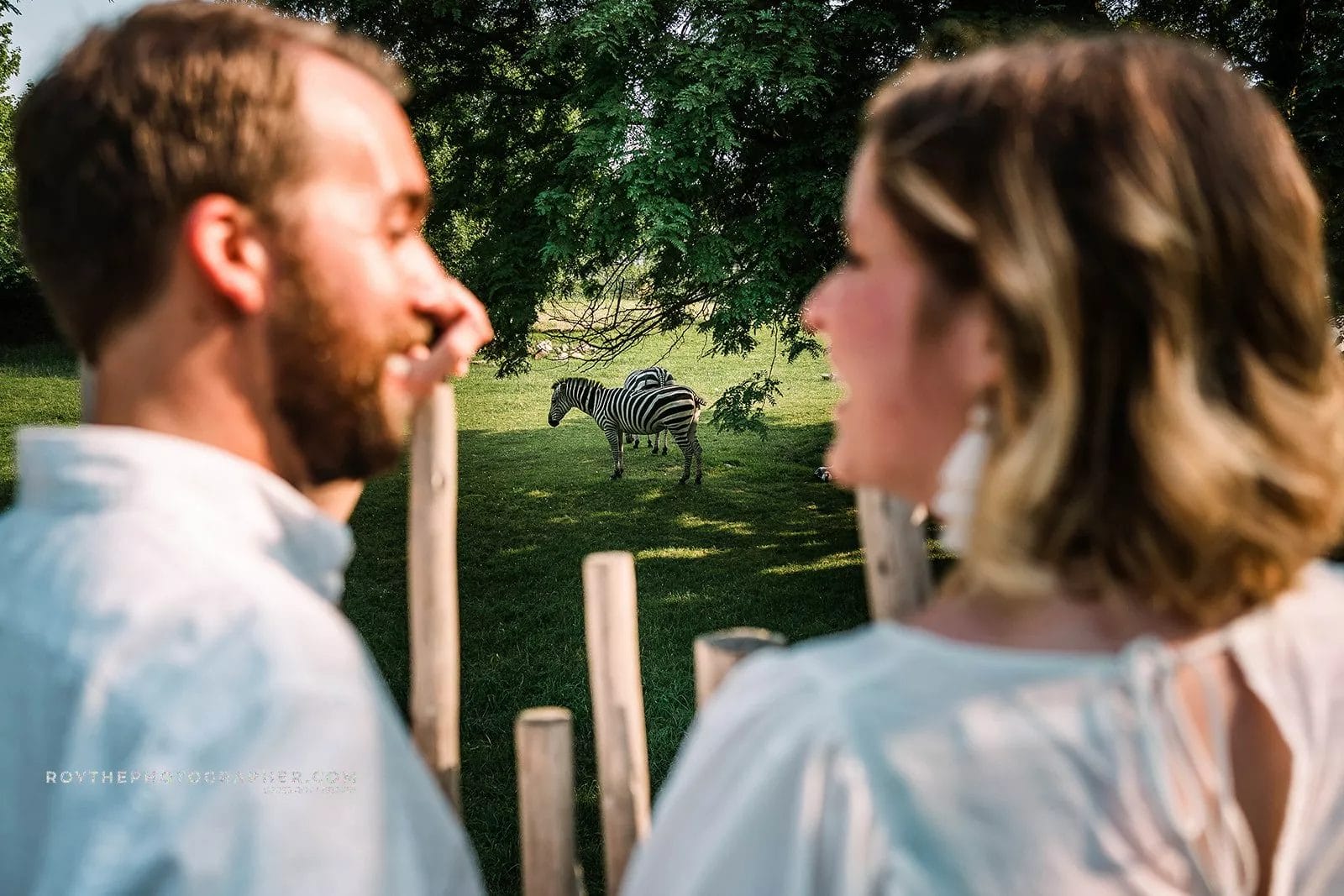 Couple enjoying a scenic view with a zebra in the background, surrounded by greenery and wooden fencing. The image captures a moment of connection and wildlife interaction.