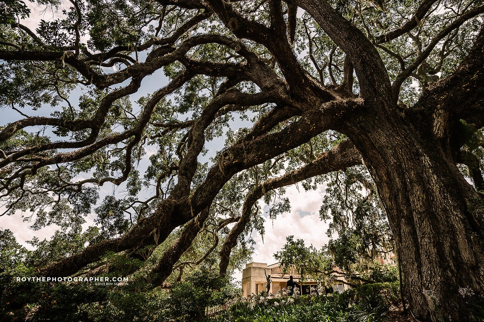 Best Proposal Ideas & Places to Propose in Jacksonville 1 2024.06.14 cummer museum 17 mm 04 39