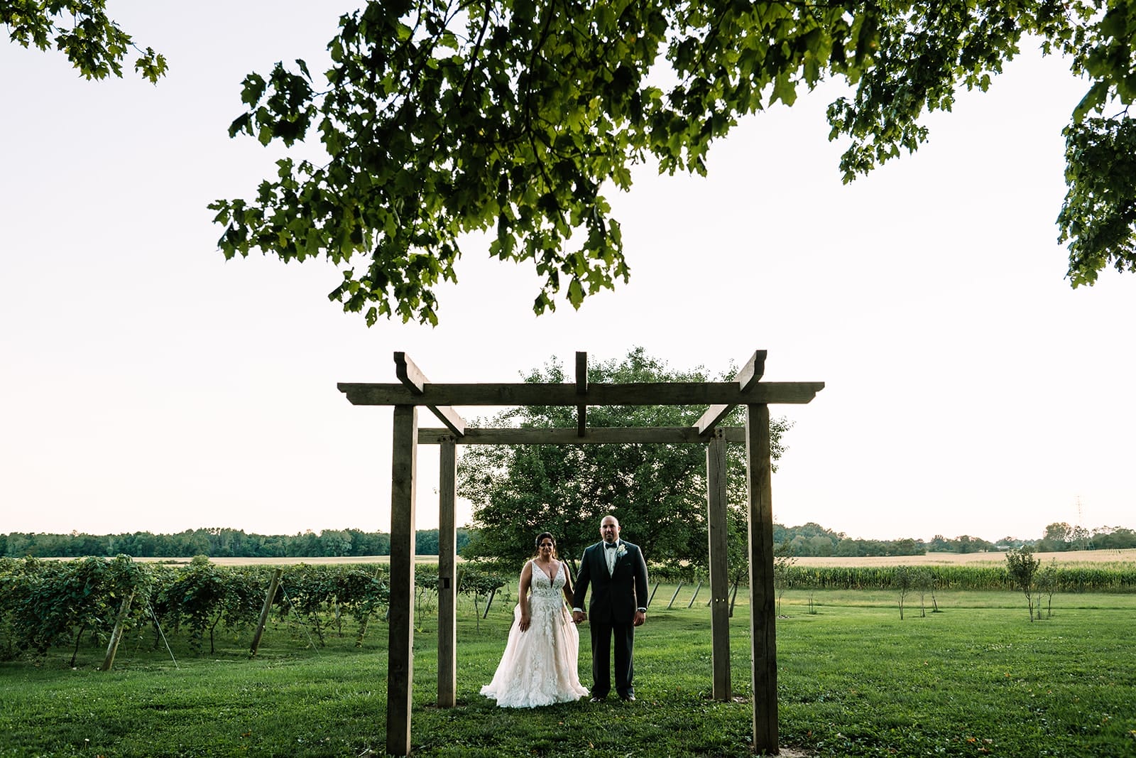 Couple standing together under a wooden arbor in a vineyard during sunset, surrounded by green grass and vineyard rows. The bride wears a lace wedding gown, and the groom is dressed in a black suit. The scene captures a romantic outdoor wedding setting.